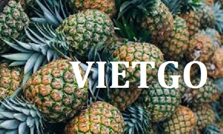 VIETGO-xuat-khau-dứa-Thổ-Nhĩ-Kỳ-Bora